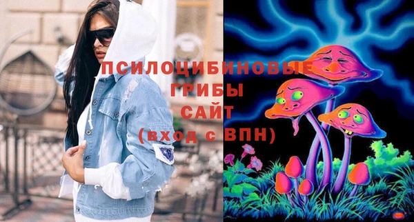 дживик Козловка