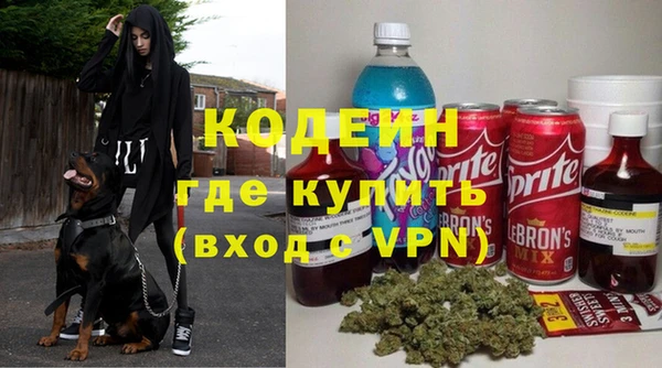 амф Козельск