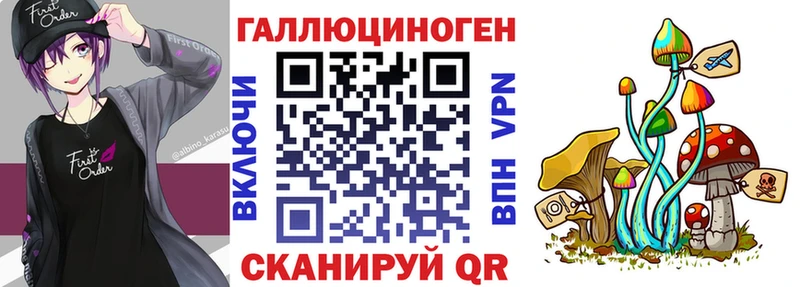 купить   Красный Сулин  Псилоцибиновые грибы MAGIC MUSHROOMS 