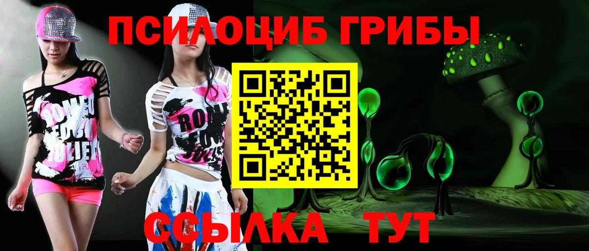 Красный Сулин  продажа наркотиков  Вход с VPN  Псилоцибиновые грибы мицелий 