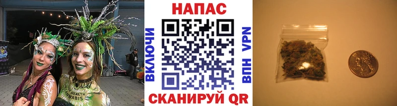 Канабис индика  Красный Сулин 